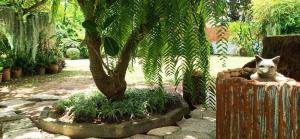 Sweet Floresta Pool Villa