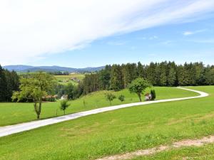 Beautiful holiday home in Viechtach with views