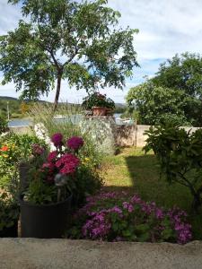 Apartments by the sea Bilice, Krka - 16904 