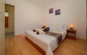 Family friendly apartments with a swimming pool Pakostane, Biograd - 16666