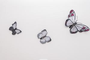 Apartments with parking space Vir - 18560