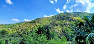 Maisons de vacances Gite de Combelebouze en Cevennes - Cosy, Confort et Climatise - 3 etoiles : photos des chambres