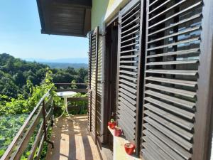 Adorable guesthouse in the middle of vineyards