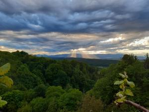Adorable guesthouse in the middle of vineyards