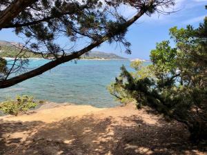 Superbe appartement sur le port, jacuzzi, piscine