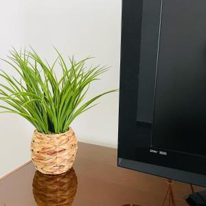 Casa do Carmo by Portus Alacer