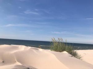 Zakątek Wenantego Apartament