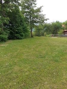 Studio apartman jelena