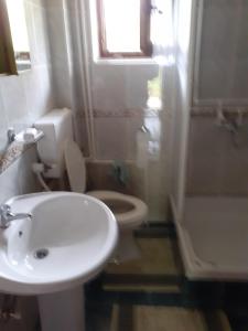 Studio apartman jelena