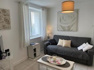 Appartement RDC de maison principale