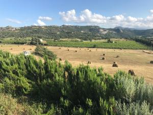 San Leonardo Country House img13