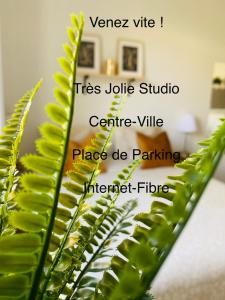 Appartements Jolie Studio Centre Ville : photos des chambres