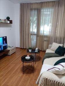 Belvedere Holiday Club 101