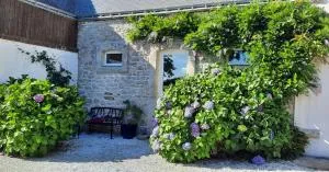 Petit Paris - 布列塔尼地区米尔