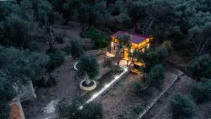 Olive Treasure - Valdanos