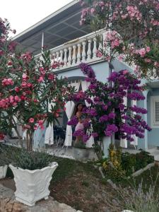 Villa Pera Apartments