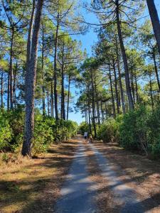 Campings Bahiana : photos des chambres