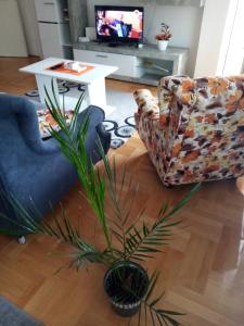 Apartman MACA