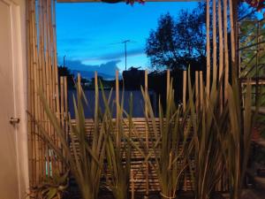 Calle Berlin Boutique