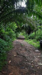 Casa Riverdale Farm Stay