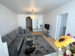 Superbe appartement près du métro 4 proche Paris - 沙蒂永