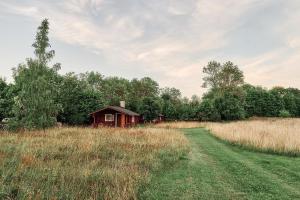 Muhu cabin Aasa