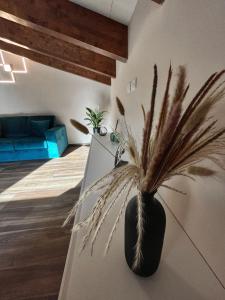 Bellavista - Superior rooms