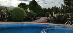 Villa Byala Grape House