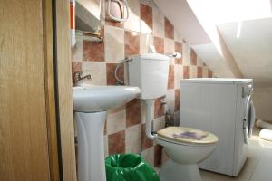 Apartments with WiFi Rijeka - 18659