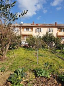 Apartments with parking space Palit, Rab - 18681 - 4hvězdičkové hotely ve městě Rab