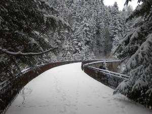 Charmant studio en montagne avec jardin, animaux admis - FR-1-496-224