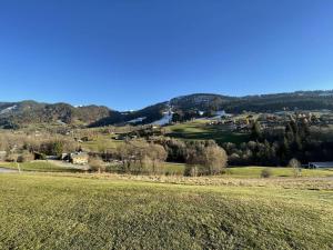 Appartements Appartement 2 pieces cabine a 700m du village - Praz-Sur-Arly - 6 pers - Ski et lac prox. - FR-1-603-61 : photos des chambres