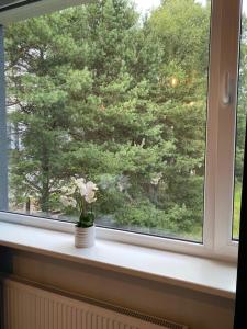 Apartment24 Savi 34