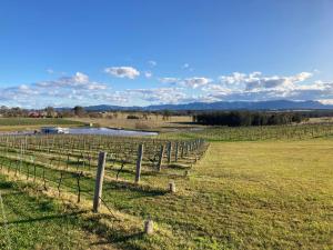 Romantic lakehousein a private vineyard in the Hunter Valley