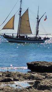 Appartements Au coeur de Pornic : photos des chambres