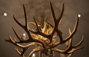 Apartmenthaus Mountainvista