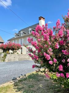 Villas Maison de maitre LA ROSERAIE avec parc arbore : photos des chambres