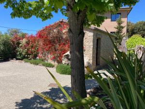 Appartements Residence Petru-Maria : Appartement avec Terrasse