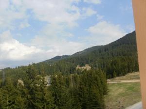 Deluxe Room in Stoykite