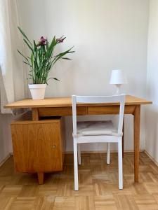 Park view apartment Morskie Oko