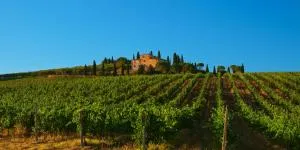 Agriturismo La Torre dell'Oliveto - Agello