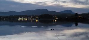 Scorr House Apartment