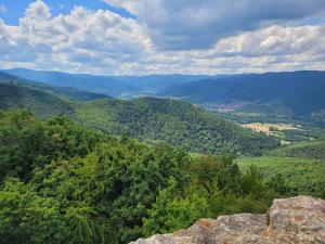 Maisons de vacances Appartement chaleureux au coeur des Hautes Vosges : photos des chambres