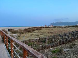 la casetta tra laguna e mare Poetto img61