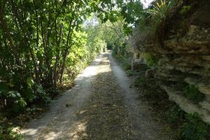 Maisons de vacances Mas ancien a Uzes : photos des chambres