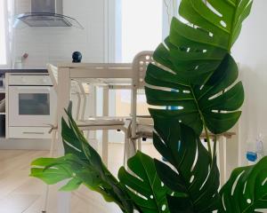 Dream Holiday Las Americas