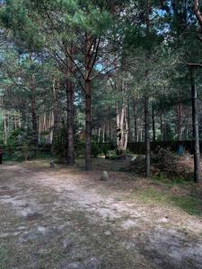 Domek całoroczny u Zosi