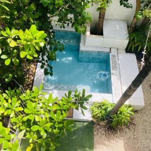 Cozy Tiny Studio AcasadiAlexPlayadelCarmen