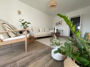 Dashing Central Oasis