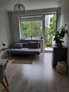 Apartament Tade